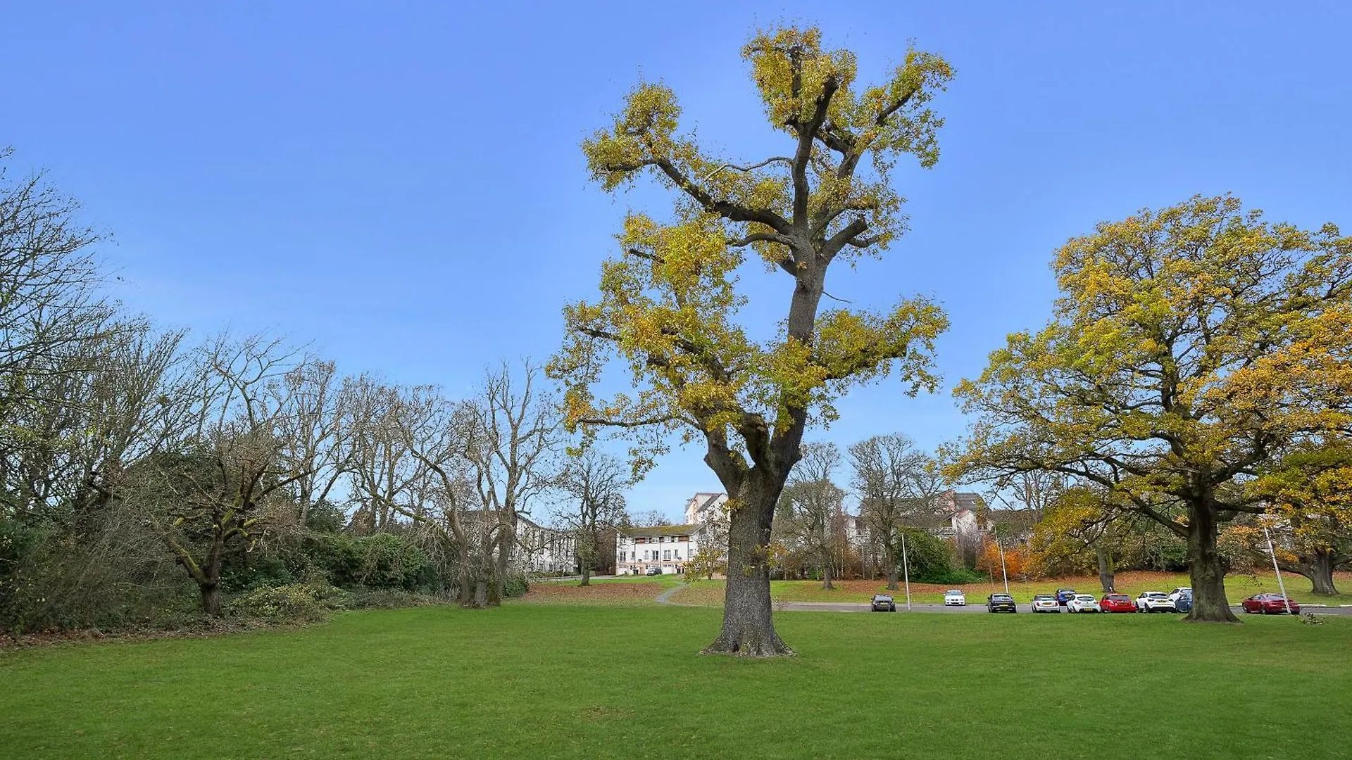 Westburn Park Suite - Grampian Lettings Aberdeen